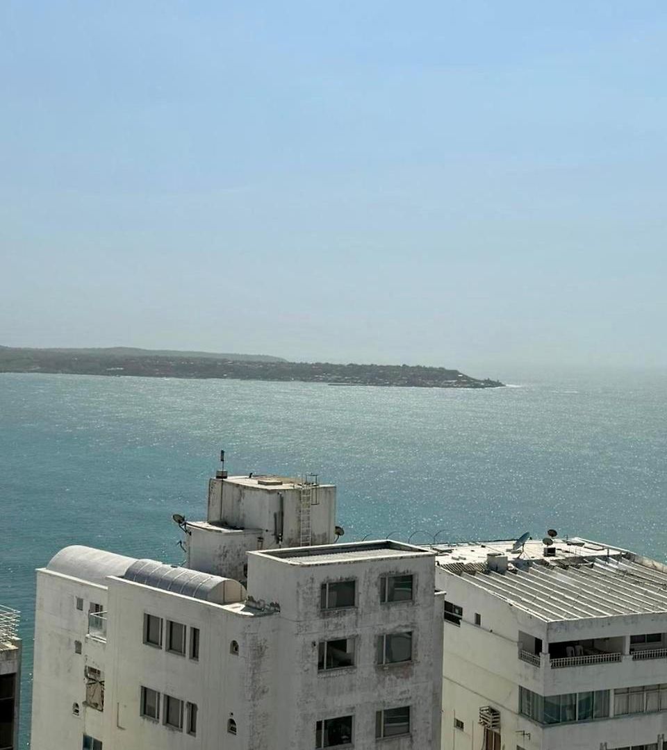 Palmera