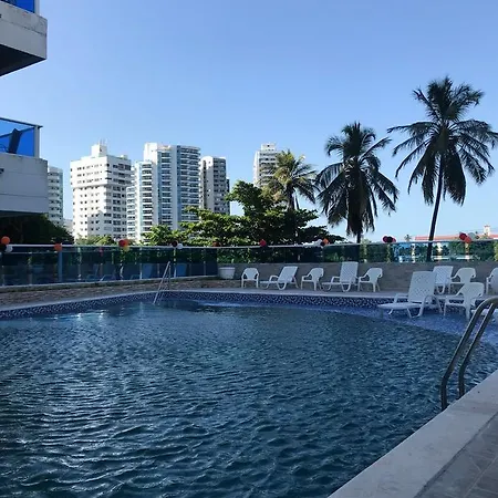 Palmera