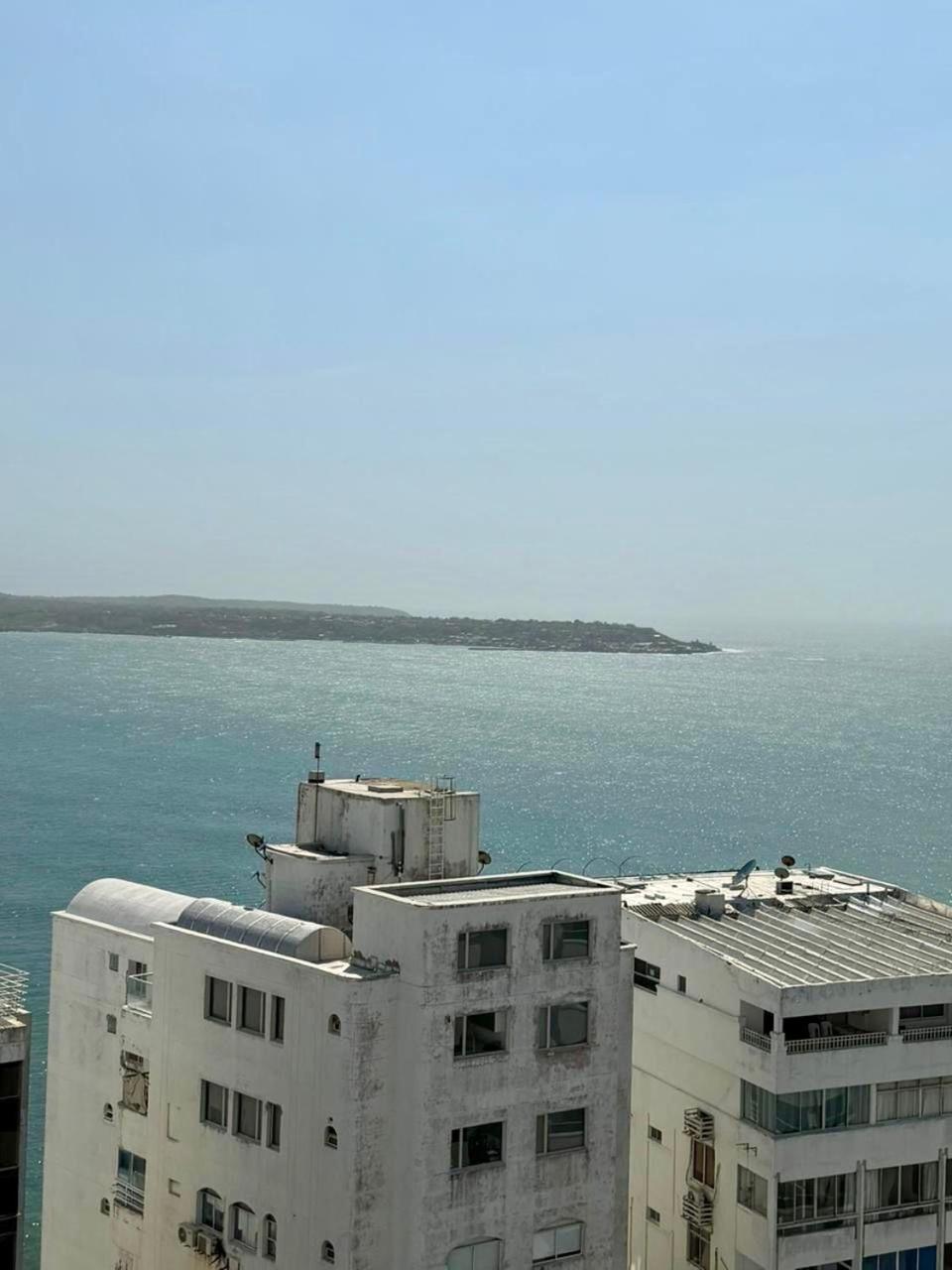Palmera